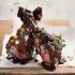 Sticky Stove Top Balsamic Chicken Drumsticks