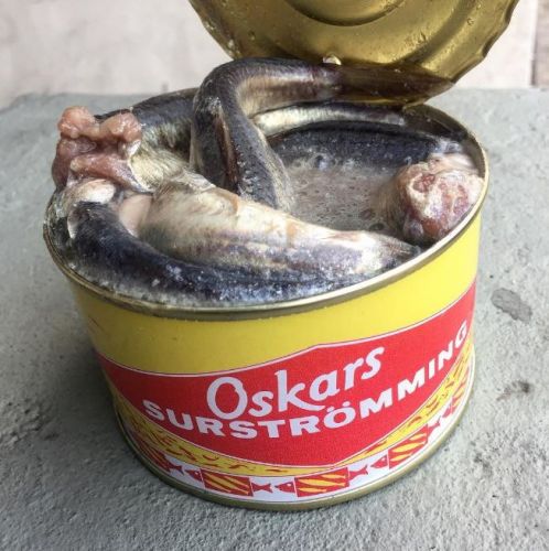 ÎÏÎ¿ÏÎ­Î»ÎµÏÎ¼Î± ÎµÎ¹ÎºÏÎ½Î±Ï Î³Î¹Î± SurstrÃ¶mming