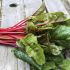 Swiss chard