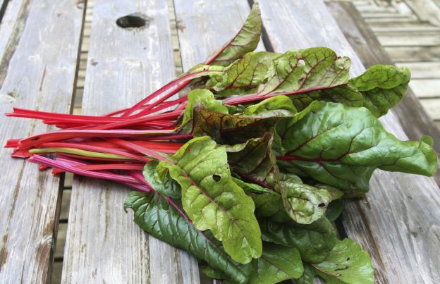 Swiss chard