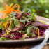THAI GRILLED BISON SKIRT STEAK SALAD