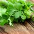 fresh cilantro