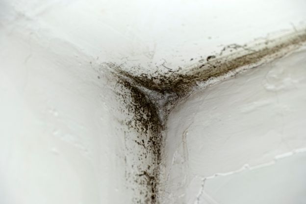 Blast mold and mildew