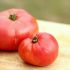 Store Tomatoes at Room Temperature Stem-Side Down