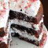 Chocolate peppermint torte