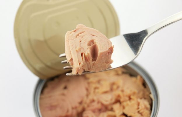 Canned tuna $2/12-ounce can