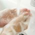 Wash your hands—properly