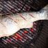 Grilled Whole Salmon