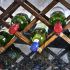 Keeping wines for too long