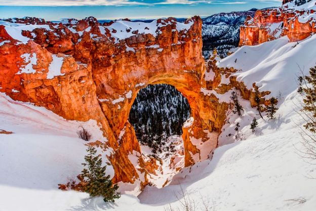 Bryce Canyon's Bridge, Utah, USA