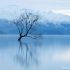 Lake Wanaka, New Zealand