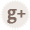Google +