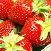 Christmas Treat: Chocolate Covered Strawberries