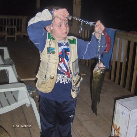 Short cut Beef Stroganoff