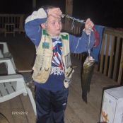 Short cut Beef Stroganoff