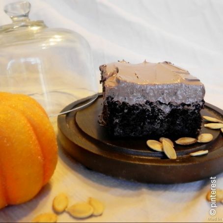 One Pan Chocolate Pumpkin Cake