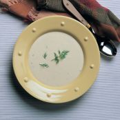 Cream of Chicken Soup with Fresh Cream