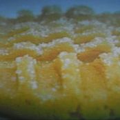 PEANUT BUTTER COOKIES