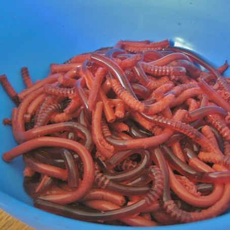 Jelly Worms!