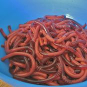 Jelly Worms!
