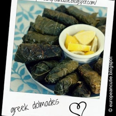 greek dolmades