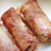 Crispy spring rolls