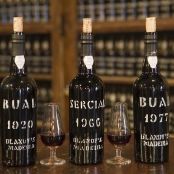 Sophie's Mushroom and Madeira Soup