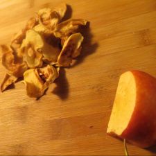 Dehydrator dried Apples & Cinnamon