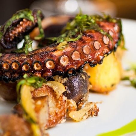 Grilled Octopus
