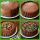 Kit Kat cake