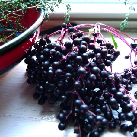 Elderberry Syrup
