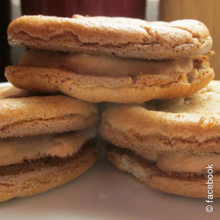 Low-Carb Chocolate CheesecakeIce Cream Sandwiches