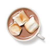 Malted Hot Cocoa With Toasted Marshmallows