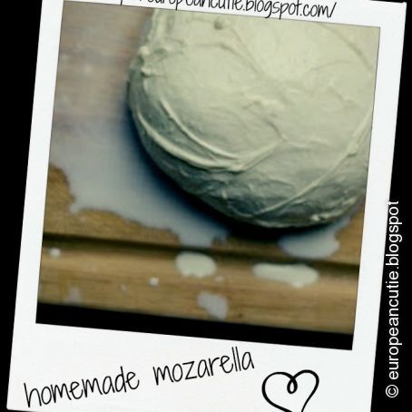 homemade mozzarella cheese