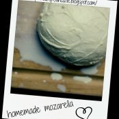 homemade mozzarella cheese