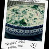 low fat version okroshka