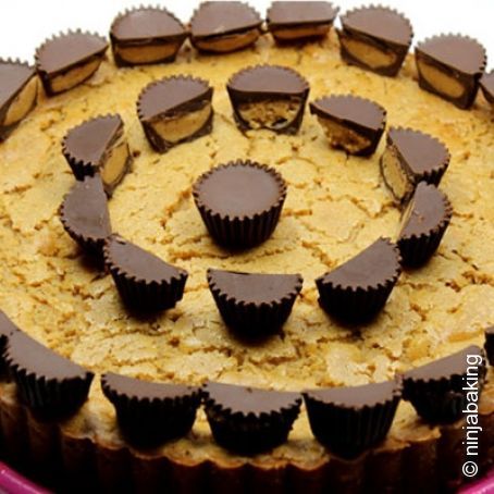 PB & J Cheesecake