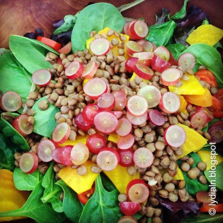 Autumn Salad