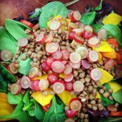 Autumn Salad