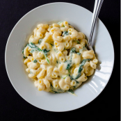 Creamy Greek Yogurt Mac and Cheese
