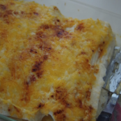 Light Spice Chicken Enchiladas