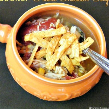 Crock Pot Fiesta Chicken Soup