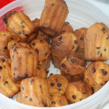 Chocolate Chip Muffins