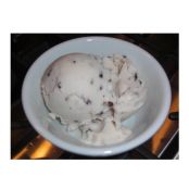 Mint Chocolate Chip Ice Cream