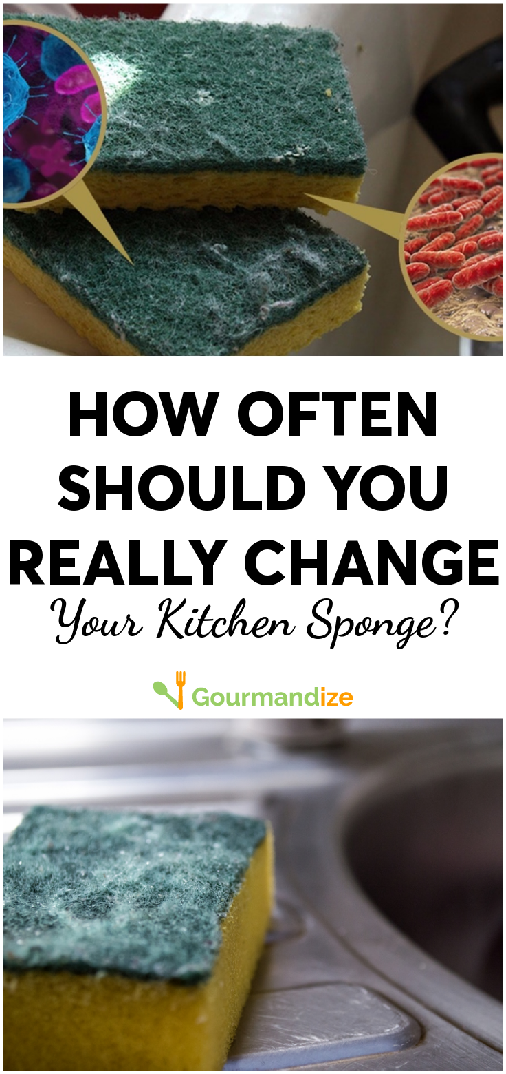 How Often Should You Replace Your Kitchen Sponge?