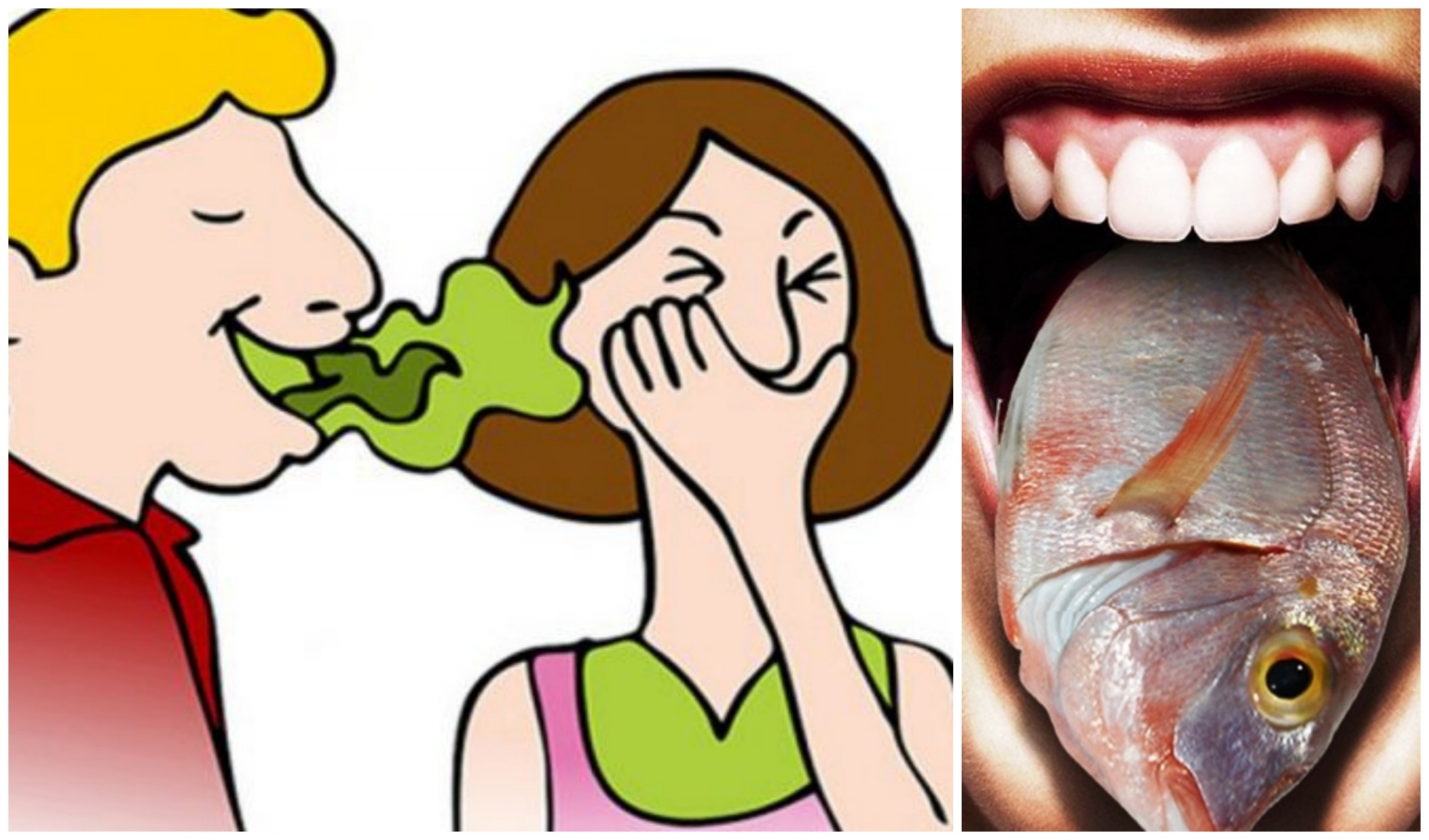 Плохой запах изо рта у взрослых. Экстраоральный галитоз. Запах изо рта паразиты.
