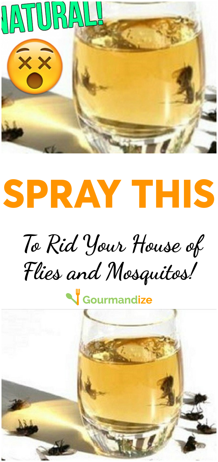 Spray THIS to Rid Your House of Flies and Mosquitos!