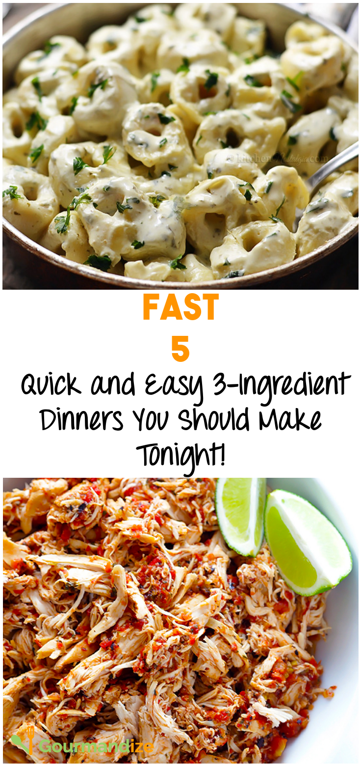 Fast 5 Quick and Easy 3Ingredient Dinners You Should