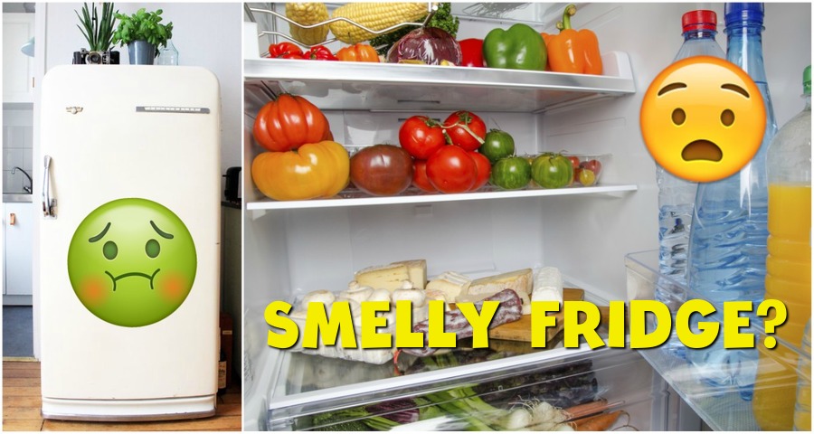 Stinky Refrigerator - Whirlpool Refrigerators Reviews