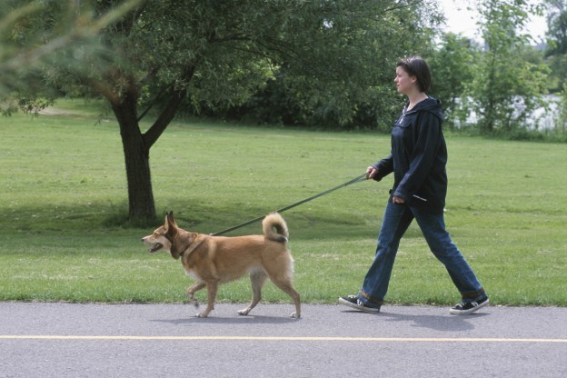 Losing Weight By Walking